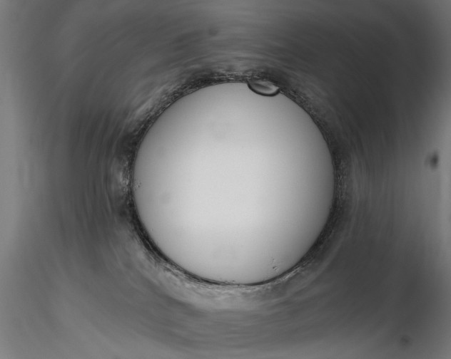 X0000116300040200912141345