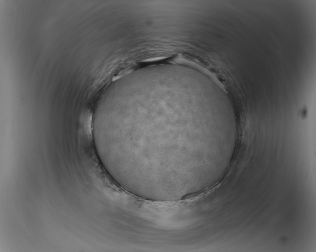 X0000116300041200912141345