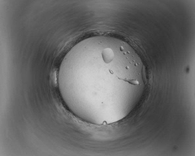 X0000116300042200912141345