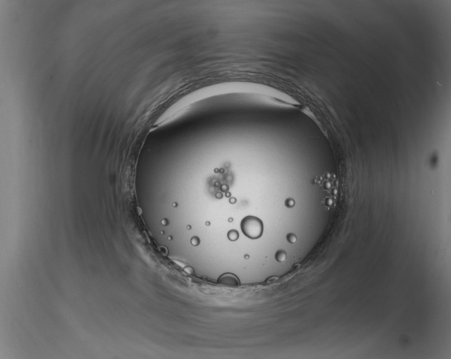 X0000116300044200912141345