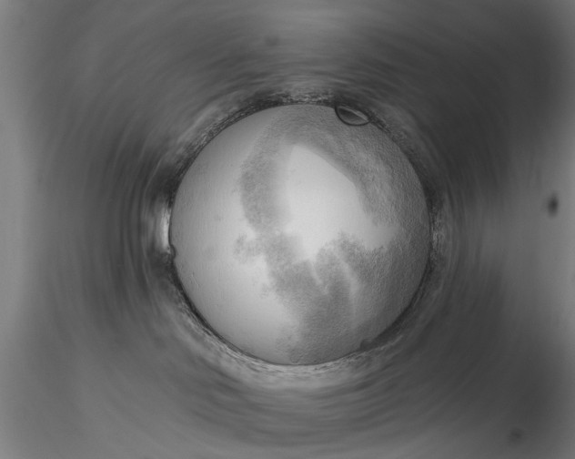 X0000116300046200912141345