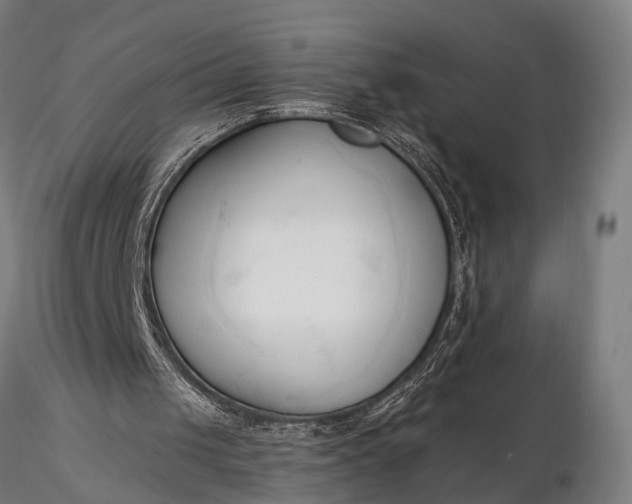 X0000116300049200912141345