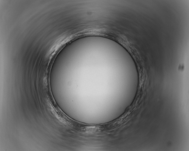 X0000116300050200912141345