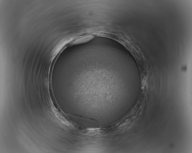 X0000116300052200912141345