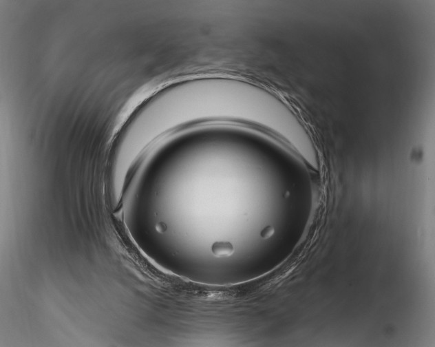 X0000116300056200912141345