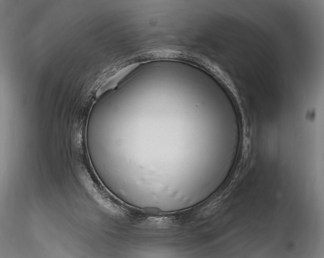 X0000116300057200912141345