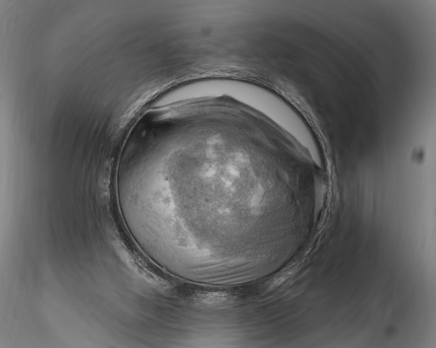 X0000116300058200912141345