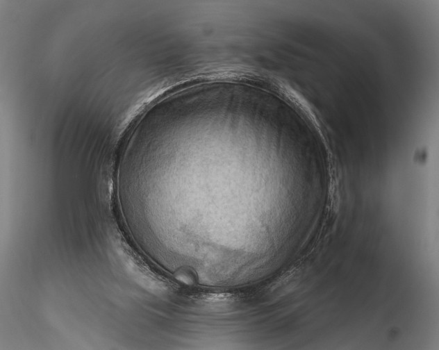 X0000116300059200912141345