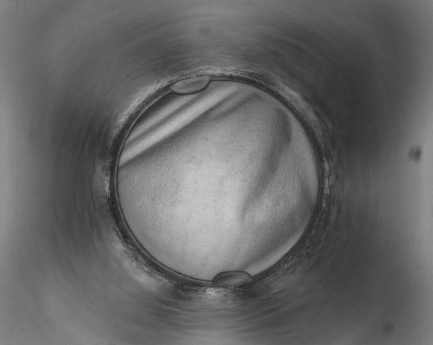 X0000116300060200912141345