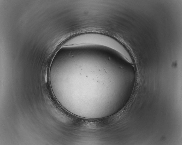 X0000116300062200912141345