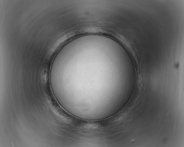 X0000116300063200912141345