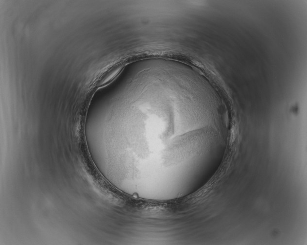 X0000116300066200912141345