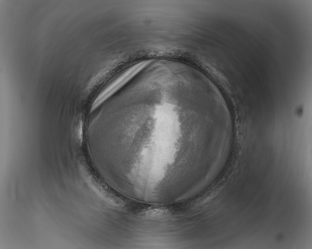 X0000116300067200912141345