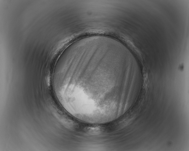 X0000116300068200912141345