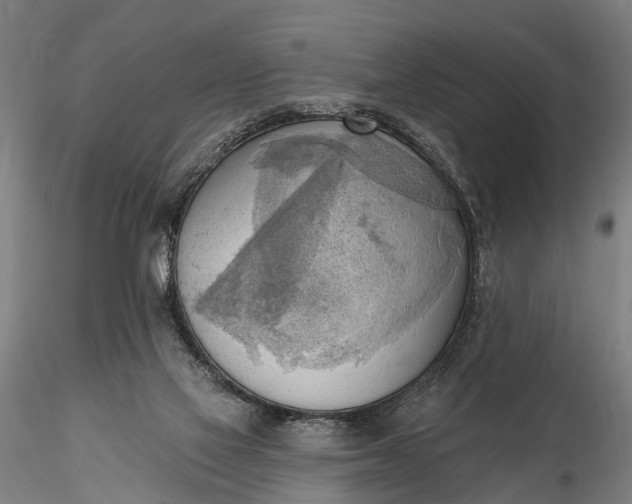 X0000116300069200912141345