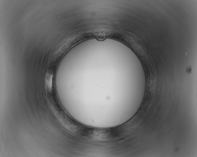 X0000116300070200912141345