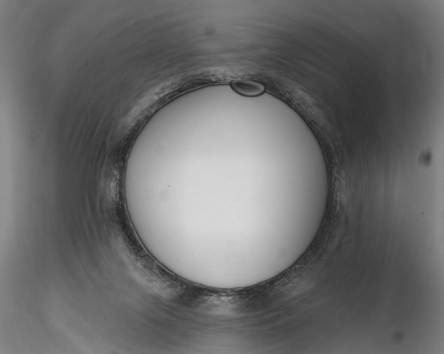 X0000116300071200912141345