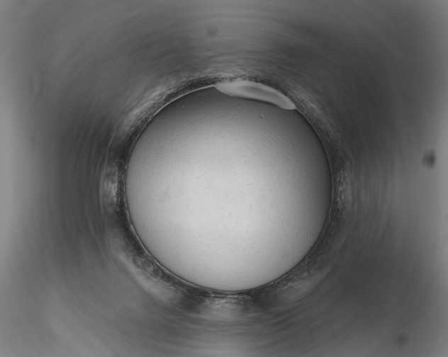 X0000116300072200912141345