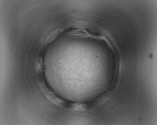 X0000116300073200912141345