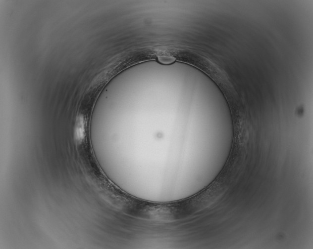 X0000116300075200912141345