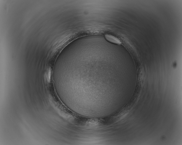 X0000116300076200912141345