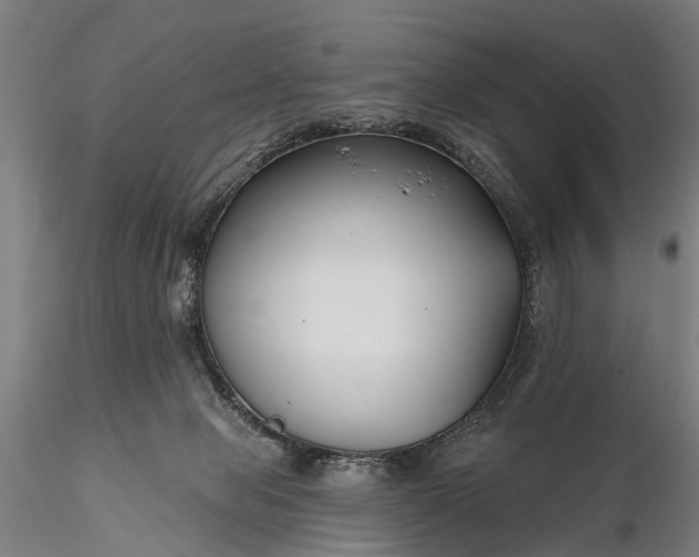 X0000116300077200912141345