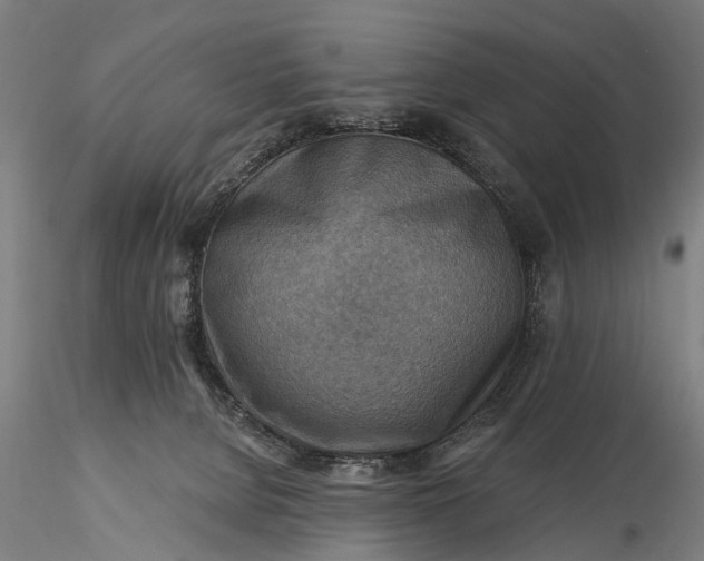 X0000116300080200912141345