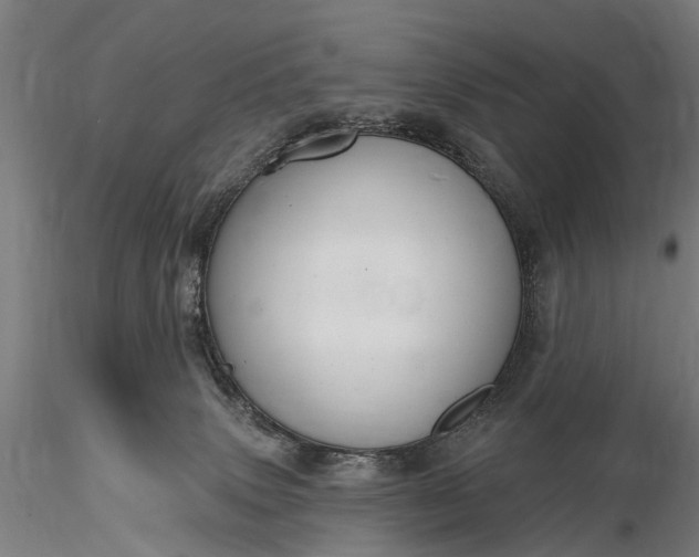 X0000116300083200912141345