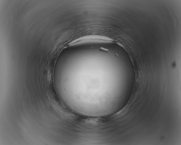 X0000116300086200912141345