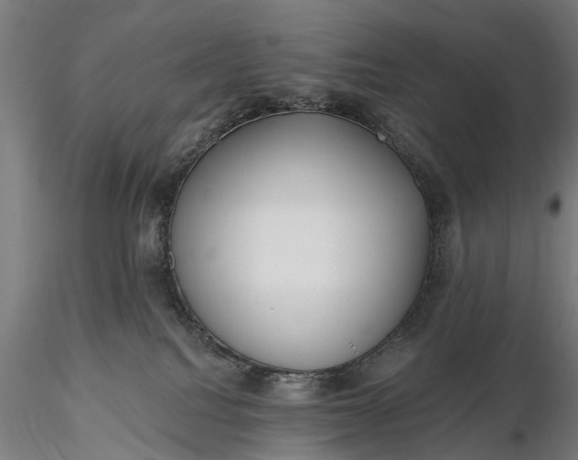 X0000116300088200912141345