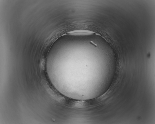 X0000116300090200912141345