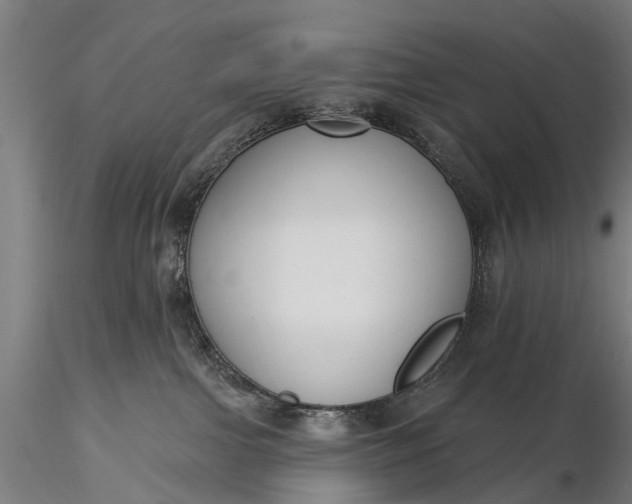 X0000116300091200912141345