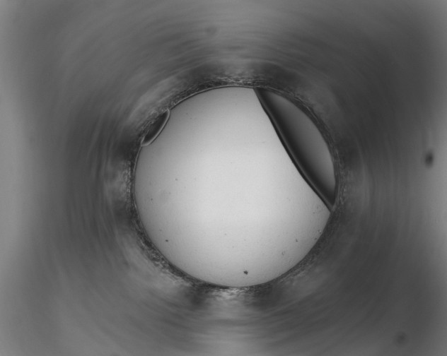 X0000116300092200912141345