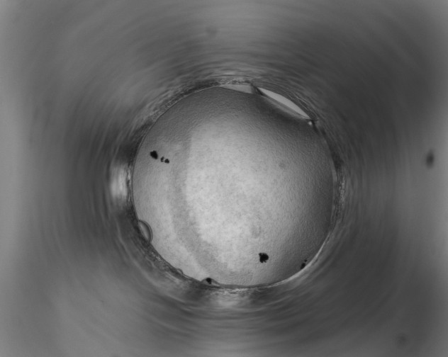 X0000116300094200912141345