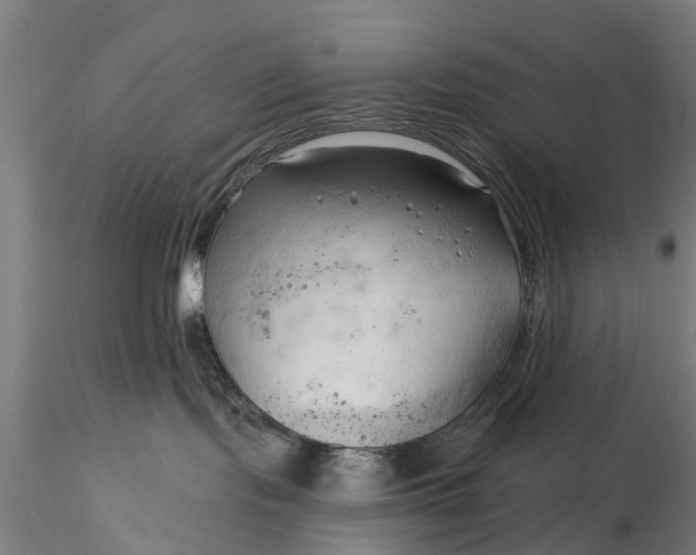 X0000116300095200912141345