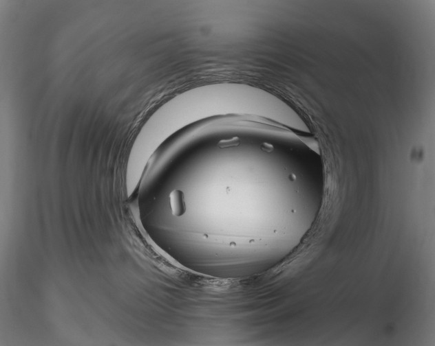 X0000116300096200912141345