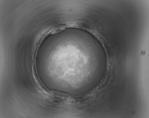 X0000116300097200912141345