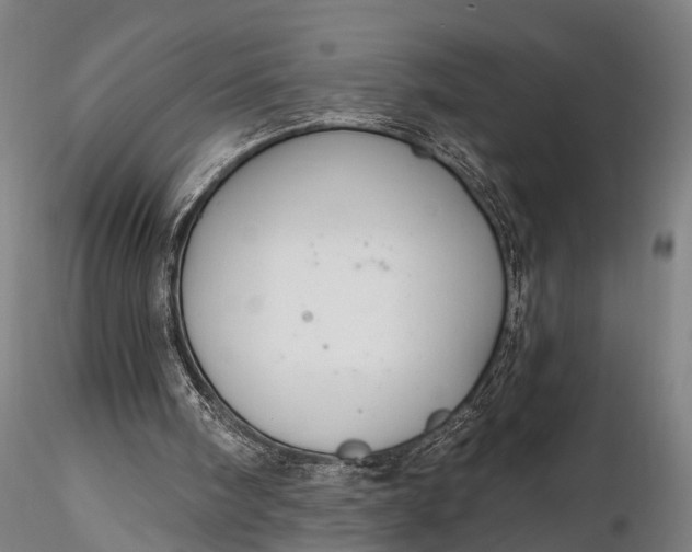 X0000116300098200912141345