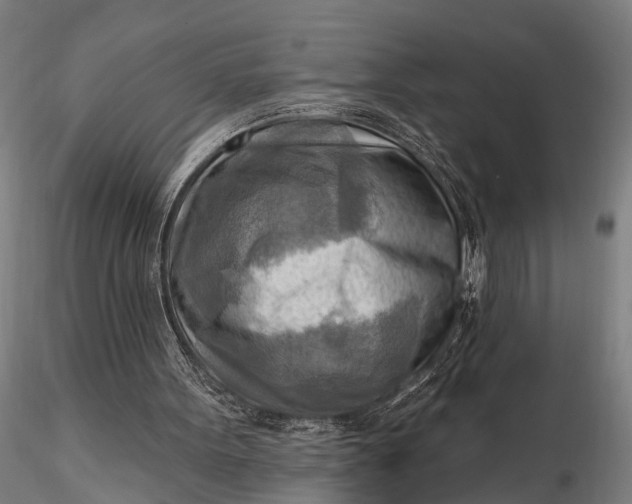 X0000116300099200912141345