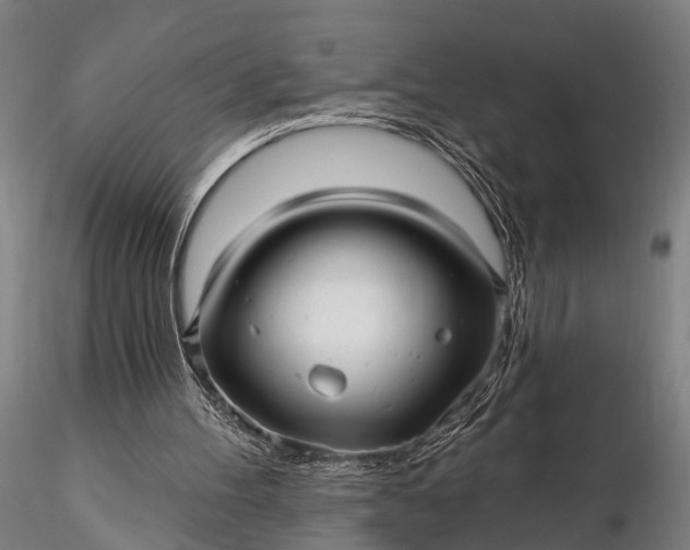 X0000116300100200912141345