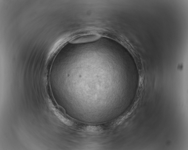 X0000116300101200912141344