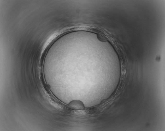 X0000116300102200912141344