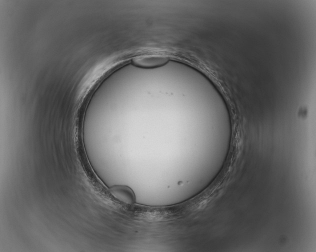 X0000116300103200912141344