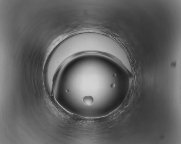 X0000116300104200912141344