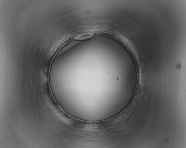 X0000116300105200912141344