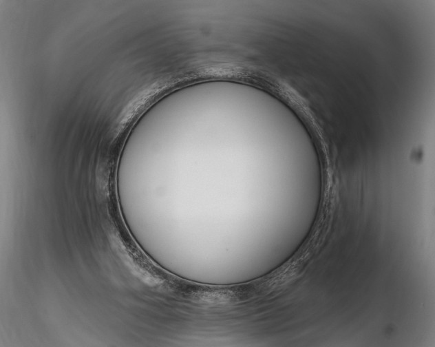 X0000116300106200912141344