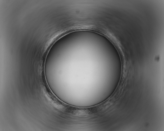 X0000116300107200912141344