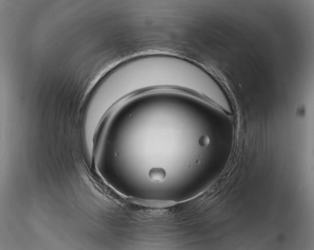 X0000116300108200912141344