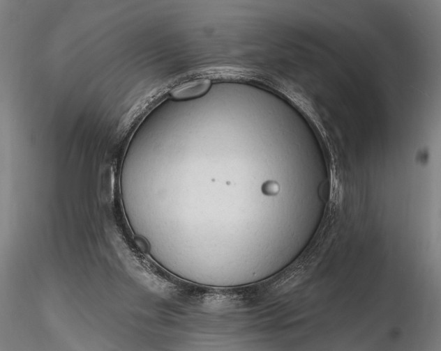 X0000116300109200912141344