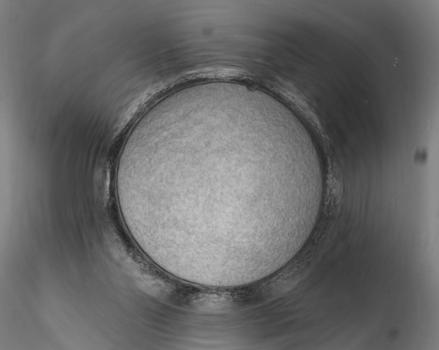 X0000116300110200912141344